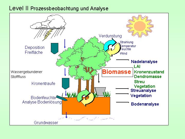 Prozessbeobachtung und Analyse